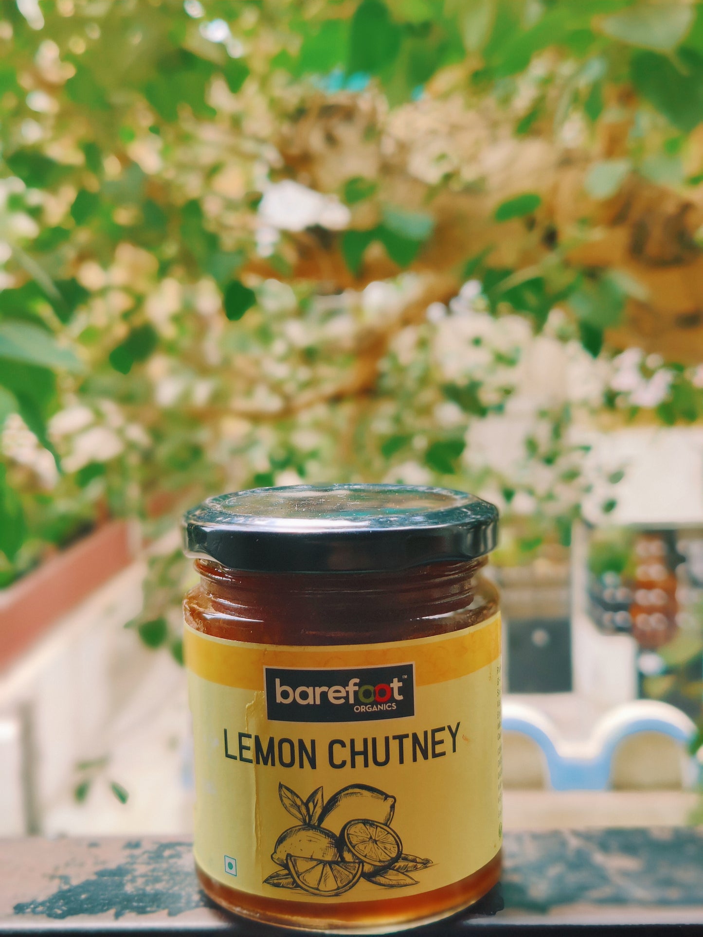 Orange Marmalade + Lemon Chutney + Apple Chutney (240 Gms each)