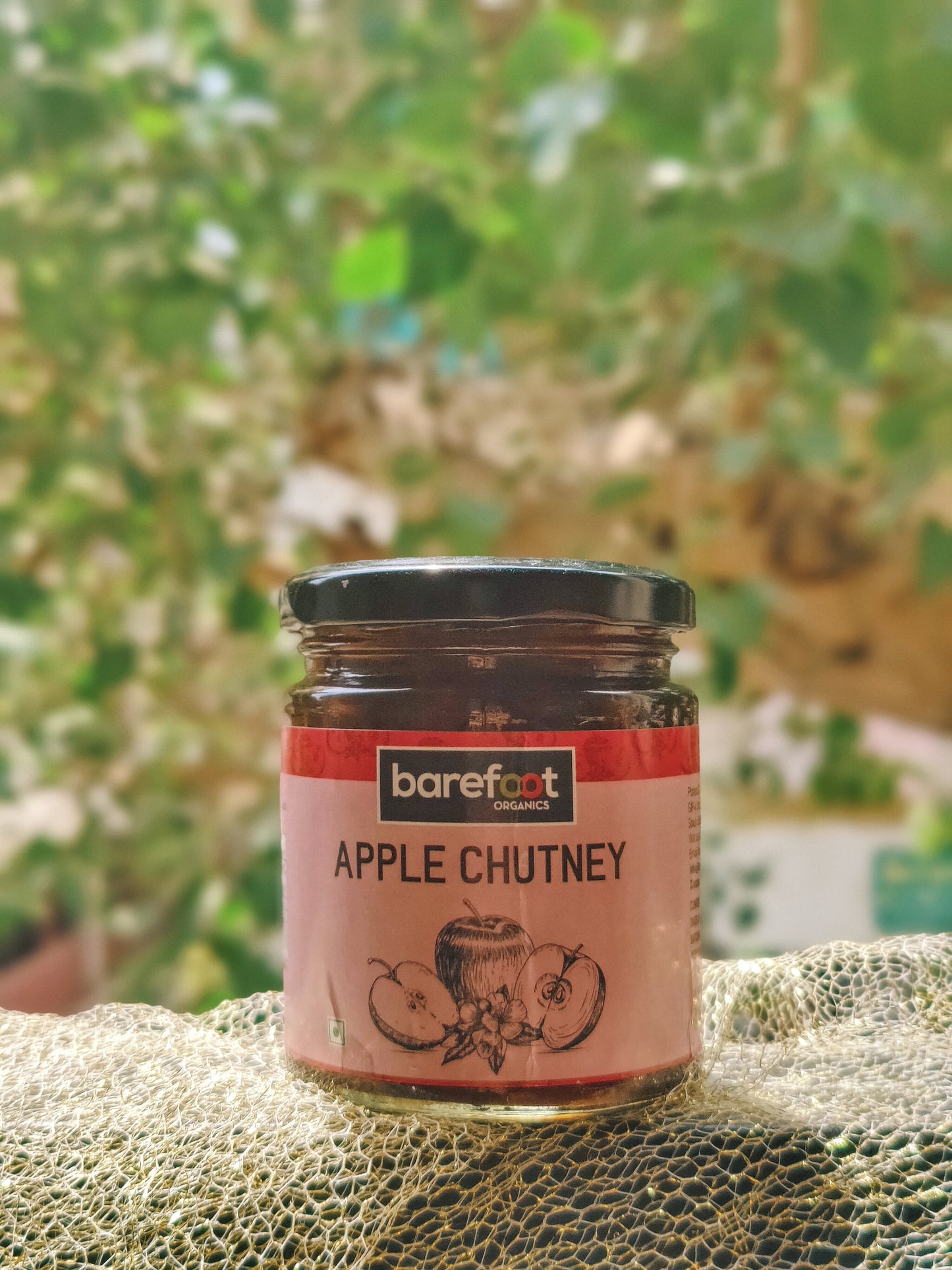 Orange Marmalade + Lemon Chutney + Apple Chutney (240 Gms each)